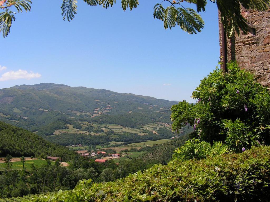 Fattoria Il Lago Dicomano Pokoj fotografie